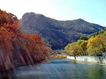 澳门天天免费精准大全，永康seo建站